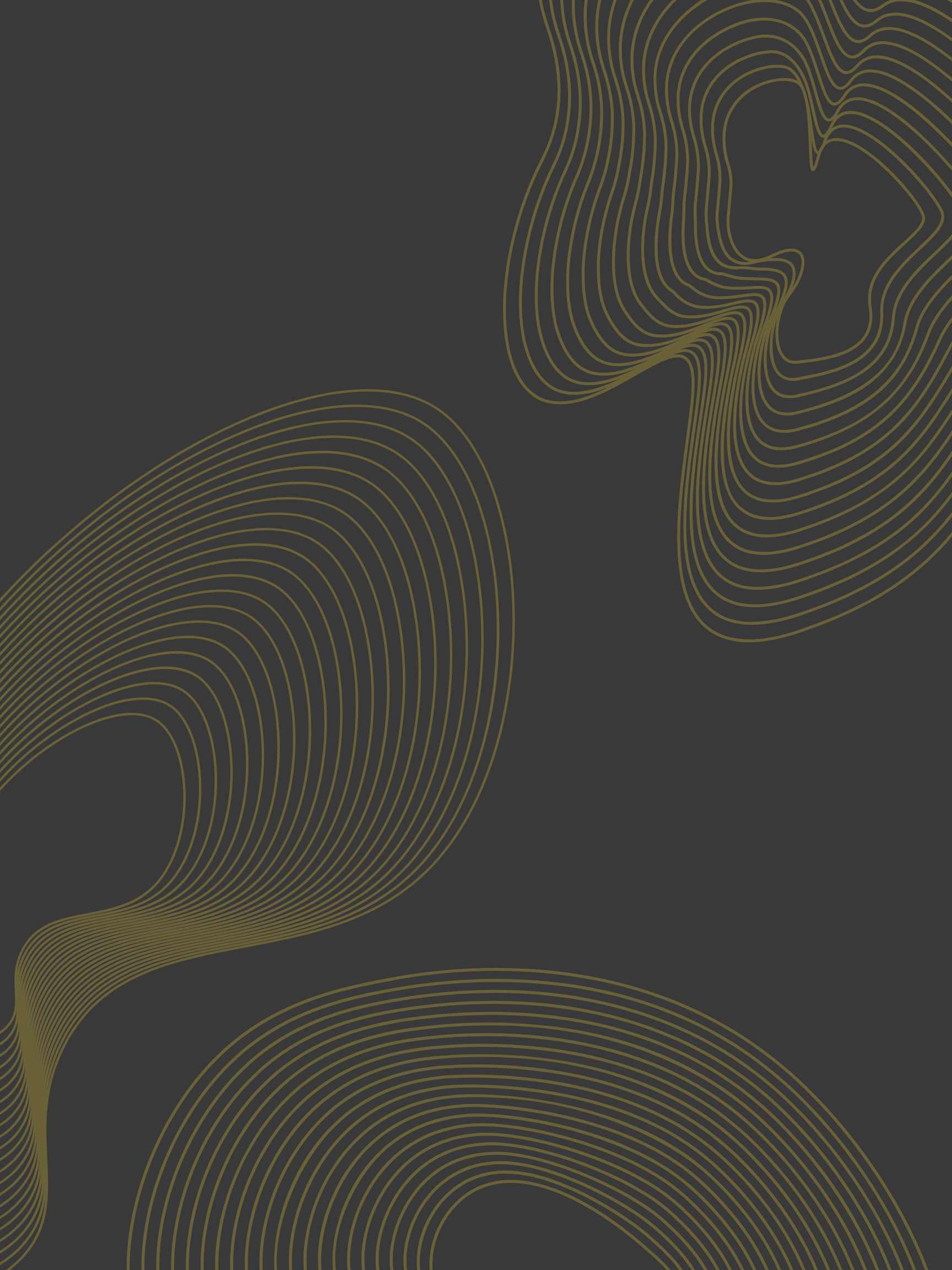 explore our services